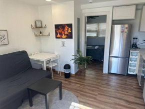 Central 1 BR Apartment EasyParking Laundry